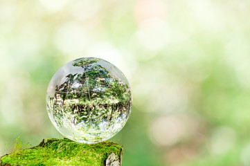 コケとガラスの地球儀
