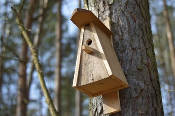 Nistkasten