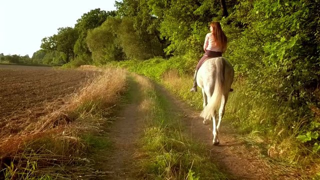 Young woman riding horse on country road during sunset