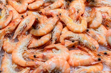 Shrimps on display at a fish market in barcelona, spain
