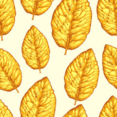 Obraz premium Seamless pattern with dried yellow leaves on white background. Vector illustration of tobacco.