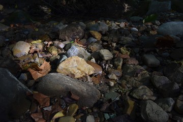 Rocks