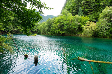 Peacock lake, one of the largest lake in Jiuzhaigou national park. Shape of lake, when view from...
