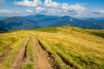 Fototapeta premium rut road in Carpathian mountains