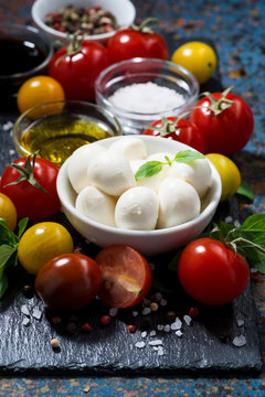 mozzarella, fresh vegetables and spices on a dark background, vertical
