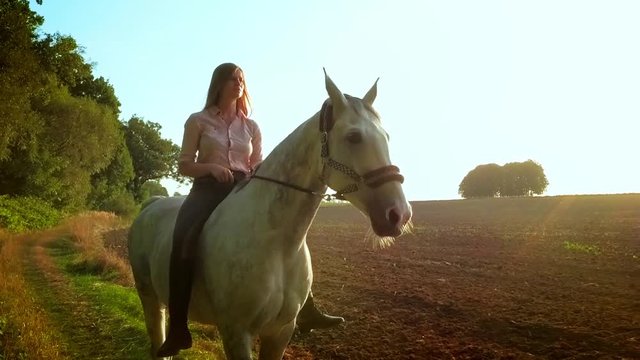 Young woman riding horse on country field during sunset, slow motion