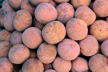 Santol Fruit Fresh background