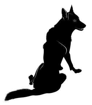 Silhouette of the wolf. Wild wolf. Vector illustration.