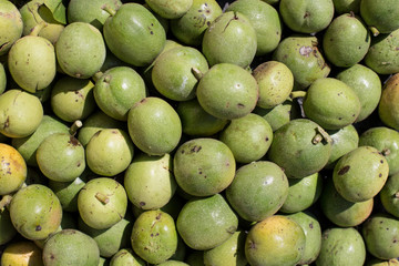 Many green greek walnuts. green Nuts in a box. Texture of green greek nuts background