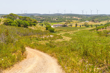Fototapeta na wymiar Trail and wind farm in the mountain