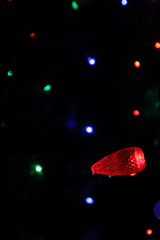 Macro Christmas Light Bulbs