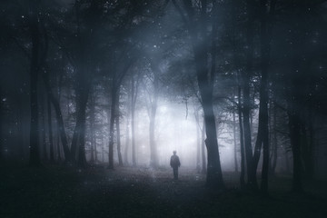 Fototapeta premium magiczny las, tajemniczy krajobraz z sylwetką człowieka w ciemnym lesie