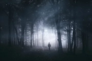  magical forest, mystery landscape with man silhouette in dark woods © andreiuc88