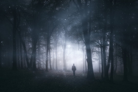 Fototapeta magical forest, mystery landscape with man silhouette in dark woods