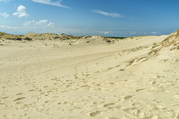 Sand dunes in the resort Nida