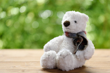 White puffy teddy bear toy sit alone on wood table with green blurred background