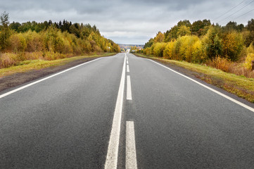 road among the trees in autumn