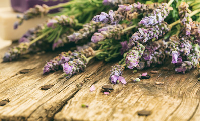 Fresh lavender and copy space
