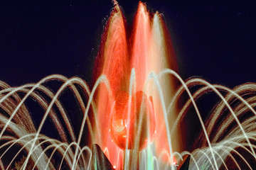 A close-up beautiful illuminated city fountain A Red Tulip Flower at night