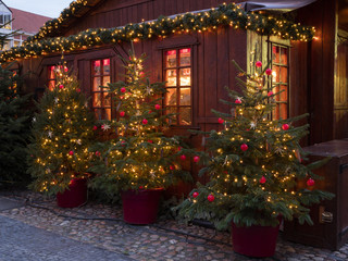 Weihnachtsbäume vor einer Holzhütte, Weihnachtsmarkt, Deutschland, Europa