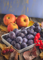 fruit set of ripe apples and prunes in a metal box