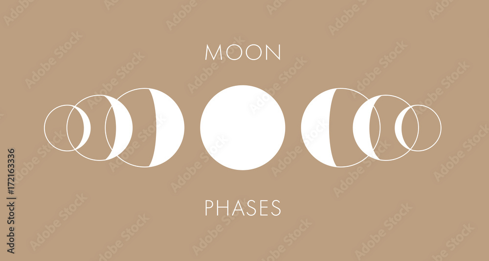 Canvas Prints moon phases vector background