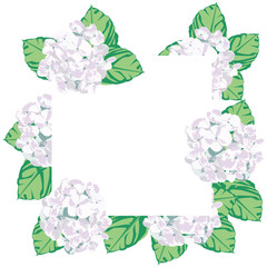 The flower in the spring.