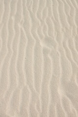 Fototapeta na wymiar Human footsteps in the sand dunes