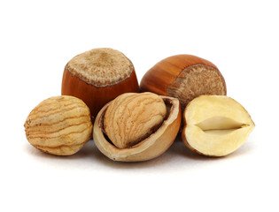 Hazelnut isolated on white
