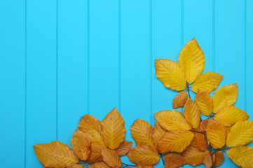 autumn leaves on wood