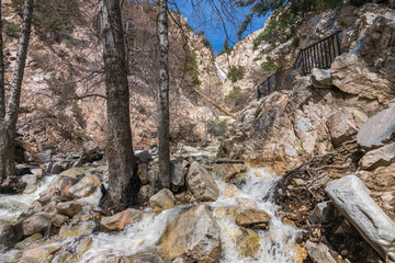 Fototapeta na wymiar Big Falls, San Bernardino National Forest, Forest Falls, California, USA
