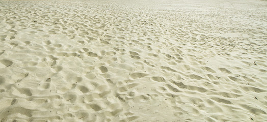 Sand  in Nida