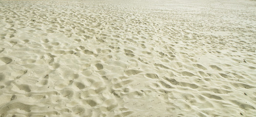 Sand  in Nida