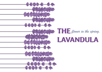 The flower in the spring.