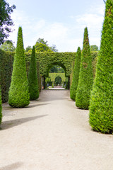Königlicher Garten