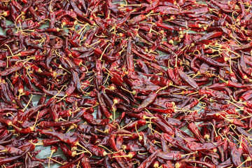 Fototapeta premium Dried chili peppers&nbsp; 