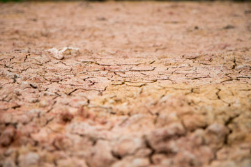Obraz premium climate change, global warming, closeup cracked soil