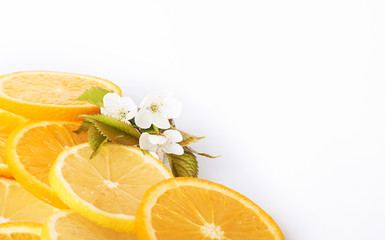 slices of orange and lemon isolated on a white background