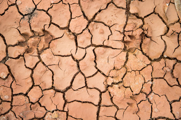 climate change, global warming, closeup cracked soil