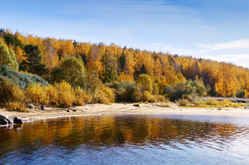 autumn forest on the river bank. Autumn landscape