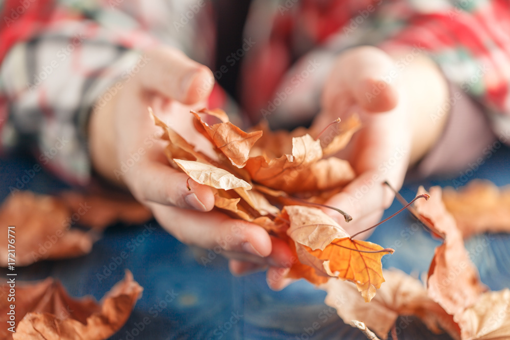 Canvas Prints heap of fall leaf on blue table in hands
