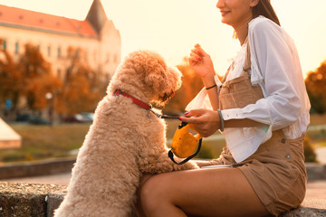 Your best friend does not have to be human. Woman playing with her dog outdoor, - obrazy, fototapety, plakaty