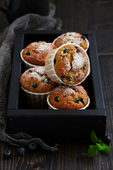 Oat muffins with blueberries on a dark background.