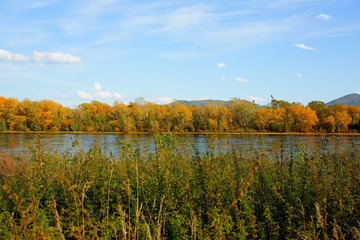 Autumn coast