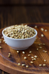 Coriander seeds spice