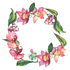 Wildflower orchid flower wreath in a watercolor style. Full name of the plant: orchid flower. Aquarelle wild flower for background, texture, wrapper pattern, frame or border.