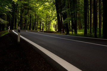 Obraz premium Summer winding road in forest