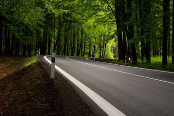 Fototapeta premium Summer winding road in forest
