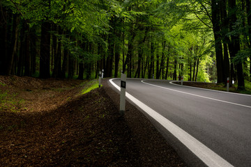Obraz premium Summer winding road in forest