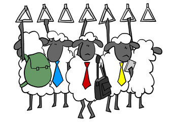 Office sheep on subway